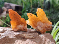 Natural Golden Solar Spirit Quartz Clusters x 20 From Boekenhouthoek, South Africa