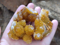 Natural Golden Solar Spirit Quartz Clusters x 20 From Boekenhouthoek, South Africa