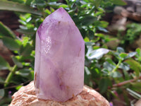 Polished Window Amethyst Quartz Crystals x 3 From Akansobe, Madagascar