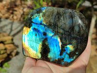 Polished Labradorite Standing Free Forms x 2 From Tulear, Madagascar