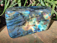 Polished Labradorite Standing Free Forms x 2 From Tulear, Madagascar