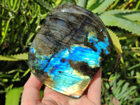 Polished Labradorite Standing Free Forms x 2 From Tulear, Madagascar