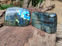 Polished Labradorite Standing Free Forms x 2 From Tulear, Madagascar