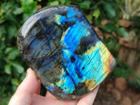 Polished Labradorite Standing Free Forms x 2 From Tulear, Madagascar