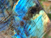 Polished Labradorite Standing Free Forms x 2 From Tulear, Madagascar