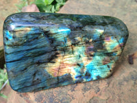 Polished Labradorite Standing Free Forms x 2 From Tulear, Madagascar