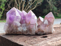 Natural Jacaranda Amethyst Quartz Clusters x 2 from Mumbwa, Zambia