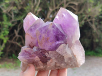 Natural Jacaranda Amethyst Quartz Clusters x 2 from Mumbwa, Zambia