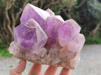 Natural Jacaranda Amethyst Quartz Clusters x 2 from Mumbwa, Zambia