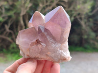 Natural Jacaranda Amethyst Quartz Clusters x 2 from Mumbwa, Zambia