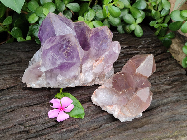 Natural Jacaranda Amethyst Quartz Clusters x 2 from Mumbwa, Zambia