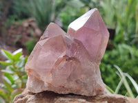 Natural Jacaranda Amethyst Quartz Clusters x 2 from Mumbwa, Zambia