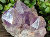 Natural Jacaranda Amethyst Quartz Clusters x 2 from Mumbwa, Zambia