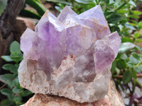 Natural Jacaranda Amethyst Quartz Clusters x 2 from Mumbwa, Zambia