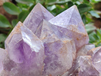 Natural Jacaranda Amethyst Quartz Clusters x 2 from Mumbwa, Zambia