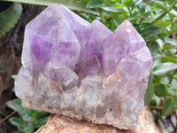 Natural Jacaranda Amethyst Quartz Clusters x 2 from Mumbwa, Zambia