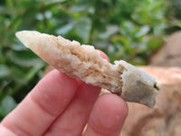 Natural Drusy Quartz Coated Calcite Pseudomorph Specimens x 26 From Lesotho