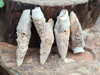 Natural Drusy Quartz Coated Calcite Pseudomorph Specimens x 26 From Lesotho