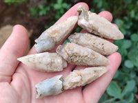 Natural Drusy Quartz Coated Calcite Pseudomorph Specimens x 26 From Lesotho