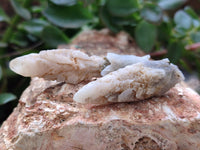 Natural Drusy Quartz Coated Calcite Pseudomorph Specimens x 26 From Lesotho