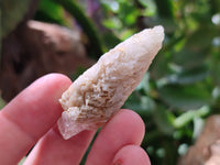 Natural Drusy Quartz Coated Calcite Pseudomorph Specimens x 26 From Lesotho