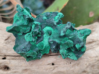 Natural Silky Malachite Specimens x 41 From Kasompe, Congo