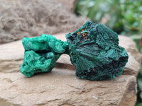 Natural Silky Malachite Specimens x 41 From Kasompe, Congo