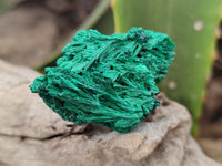 Natural Silky Malachite Specimens x 41 From Kasompe, Congo