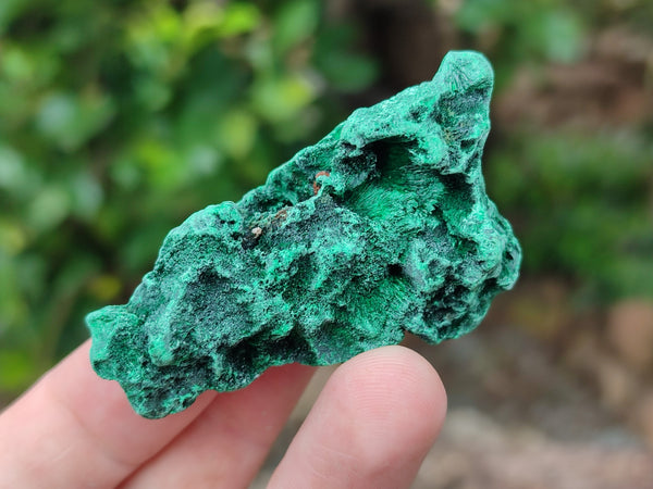 Natural Silky Malachite Specimens x 41 From Kasompe, Congo