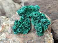 Natural Silky Malachite Specimens x 41 From Kasompe, Congo