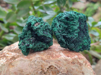 Natural Silky Malachite Specimens x 41 From Kasompe, Congo