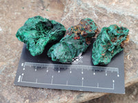 Natural Silky Malachite Specimens x 41 From Kasompe, Congo