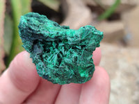 Natural Silky Malachite Specimens x 41 From Kasompe, Congo