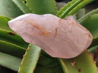 Polished Rose Quartz Flames x 3 From Ambatondrazaka, Madagascar