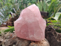 Polished Rose Quartz Flames x 3 From Ambatondrazaka, Madagascar