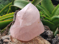 Polished Rose Quartz Flames x 3 From Ambatondrazaka, Madagascar