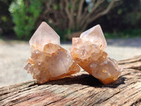 Natural Ametrine Spirit Quartz Crystals x 12 From Boekenhouthoek, South Africa