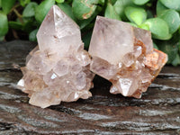 Natural Ametrine Spirit Quartz Crystals x 12 From Boekenhouthoek, South Africa