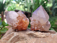 Natural Ametrine Spirit Quartz Crystals x 12 From Boekenhouthoek, South Africa