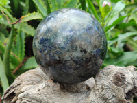 Polished Iolite Spheres x 2 From Ambatofinandrahana, Madagascar