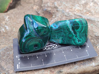 Polished Malacolla Free Forms x 12 From Congo