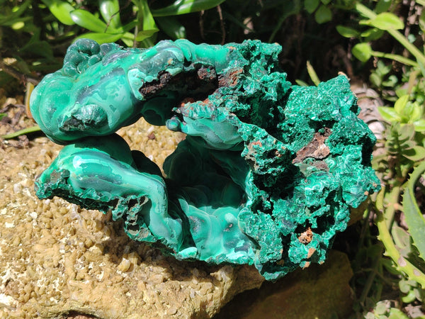 Natural Botryoidal Silky Malachite Specimen x 1 From Congo