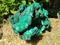 Natural Botryoidal Silky Malachite Specimen x 1 From Congo