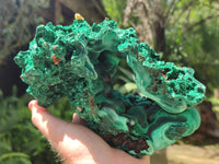 Natural Botryoidal Silky Malachite Specimen x 1 From Congo