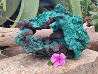 Natural Botryoidal Silky Malachite Specimen x 1 From Congo