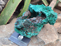 Natural Botryoidal Silky Malachite Specimen x 1 From Congo