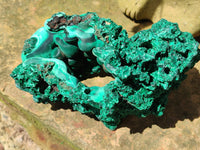 Natural Botryoidal Silky Malachite Specimen x 1 From Congo