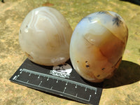 Polished Dendritic Agate Standing Free Forms x 6 From Madagascar