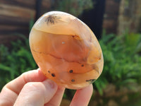 Polished Dendritic Agate Standing Free Forms x 6 From Madagascar