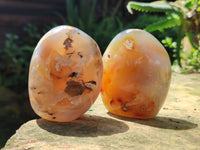 Polished Dendritic Agate Standing Free Forms x 6 From Madagascar